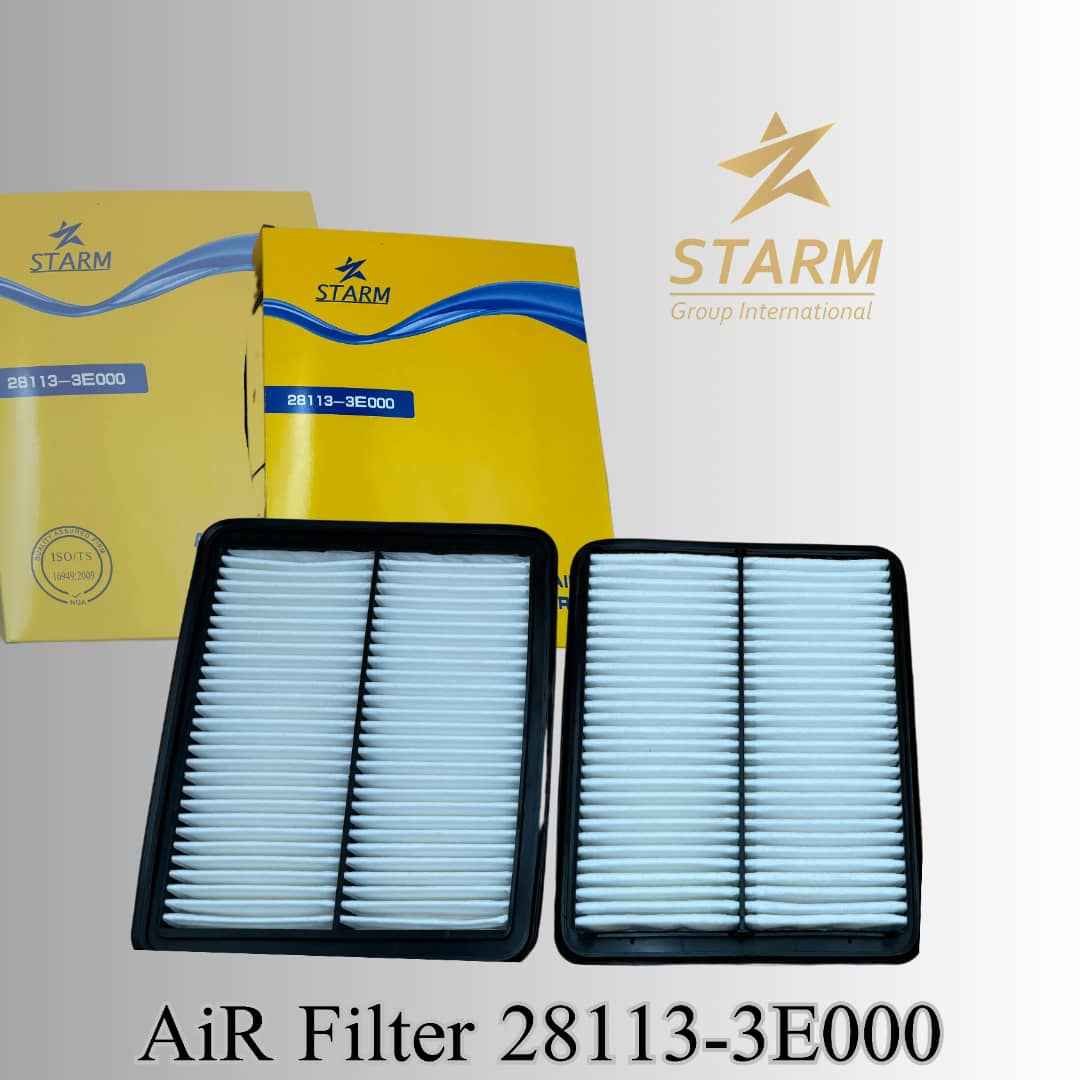 Air Filter 28113-e000