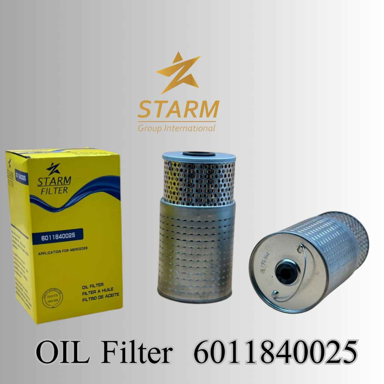 Oil Filters 4011840025