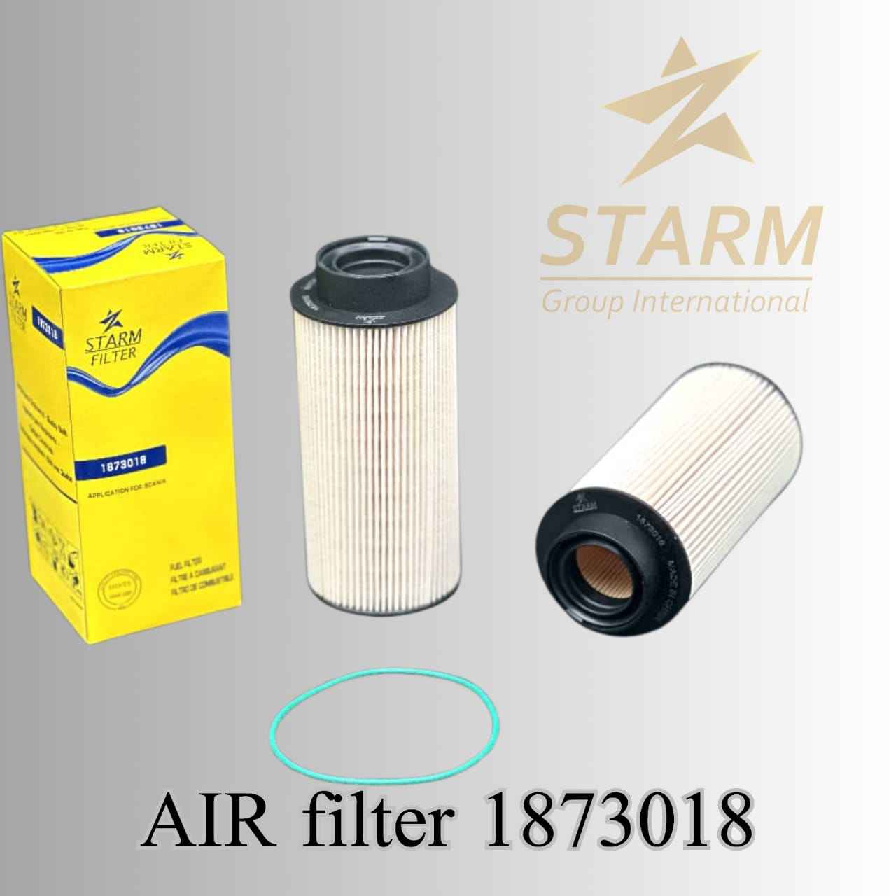 Air Filter 1873018