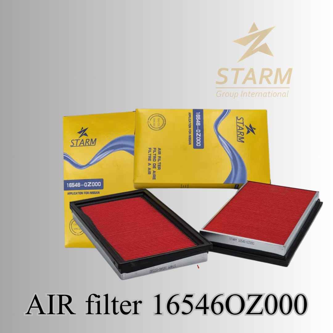 Air Filter 16546OZ000