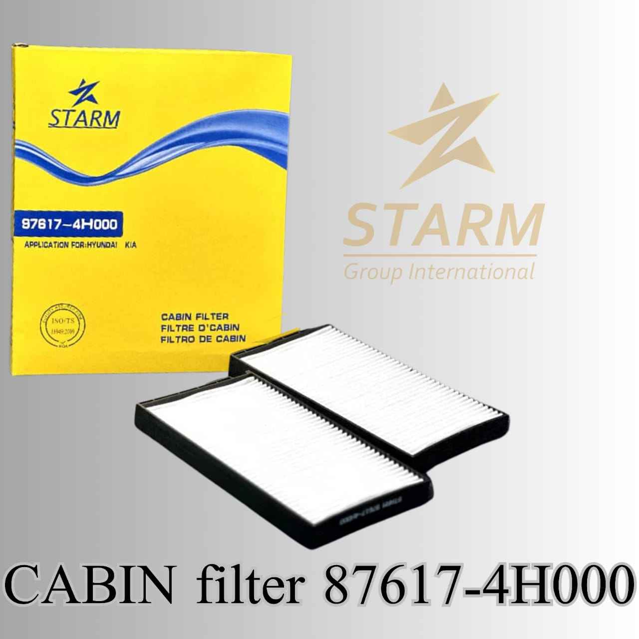 Cabin filter 87617-4H000