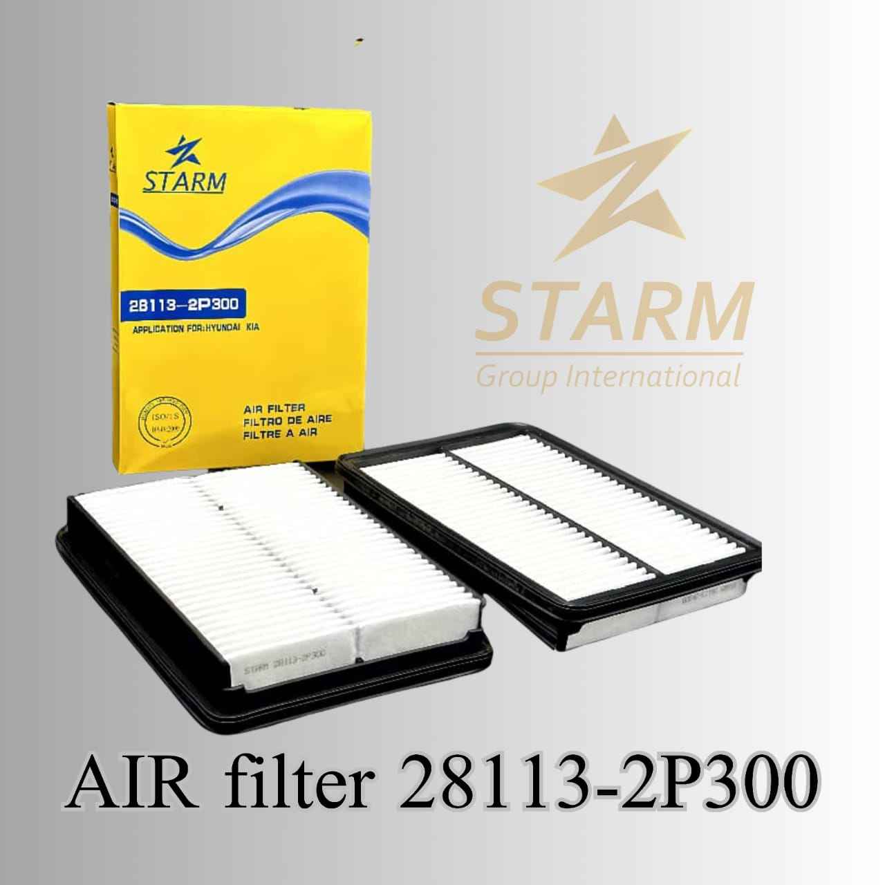 Air Filter 28113-2P300