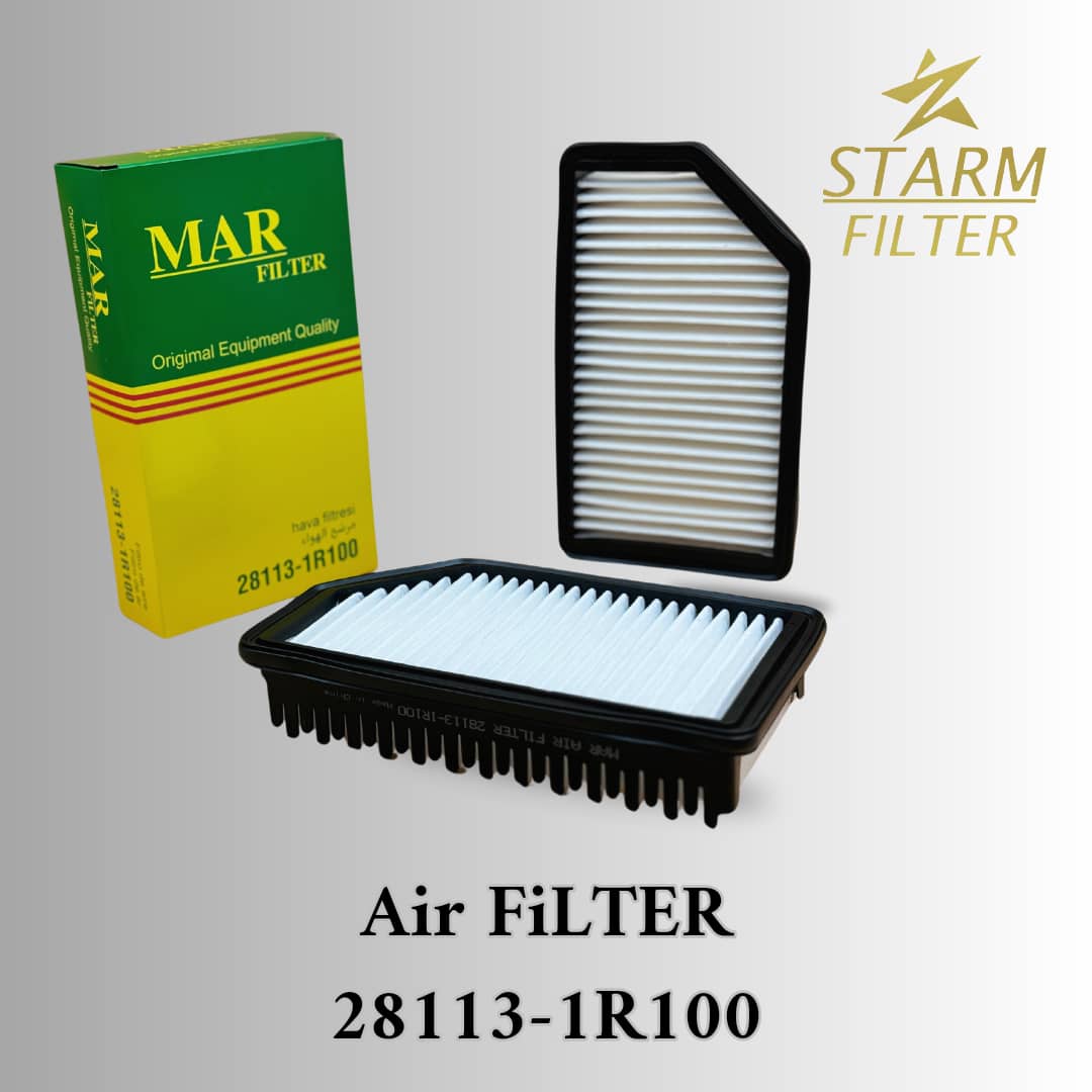 Air Filters28113-1R100