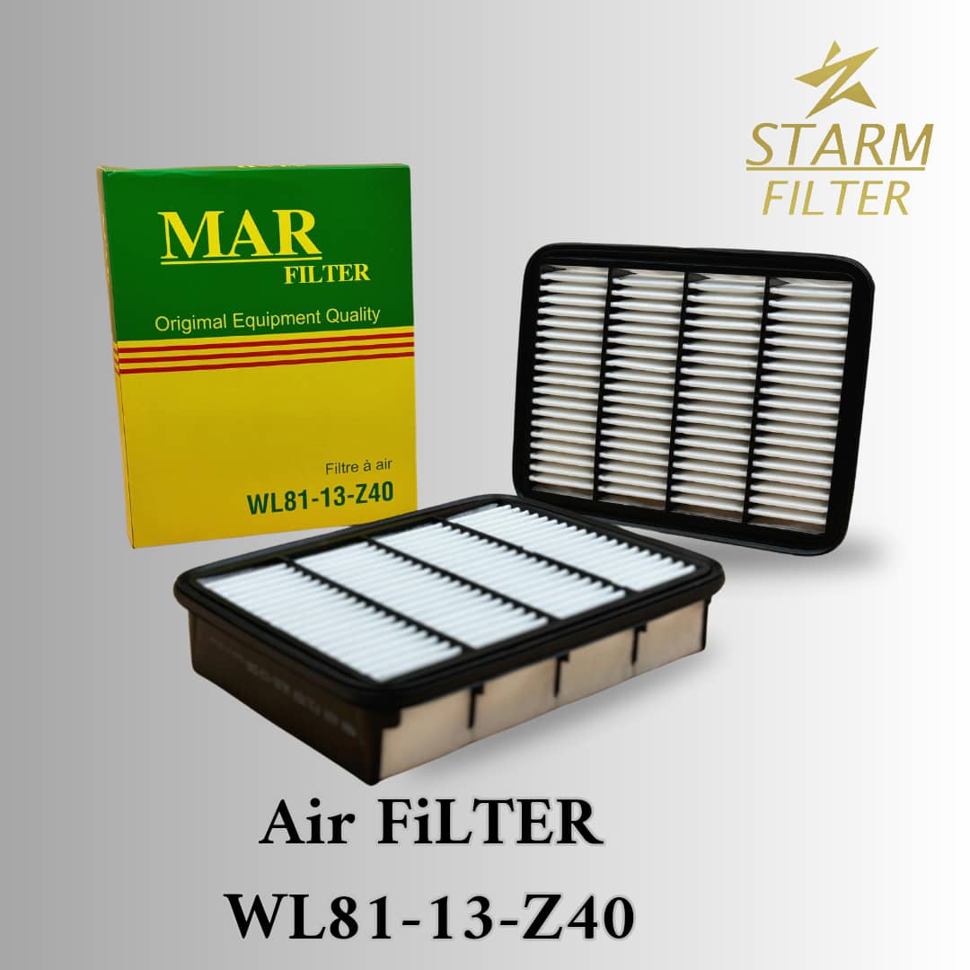 Air Filters WL81-13-Z40