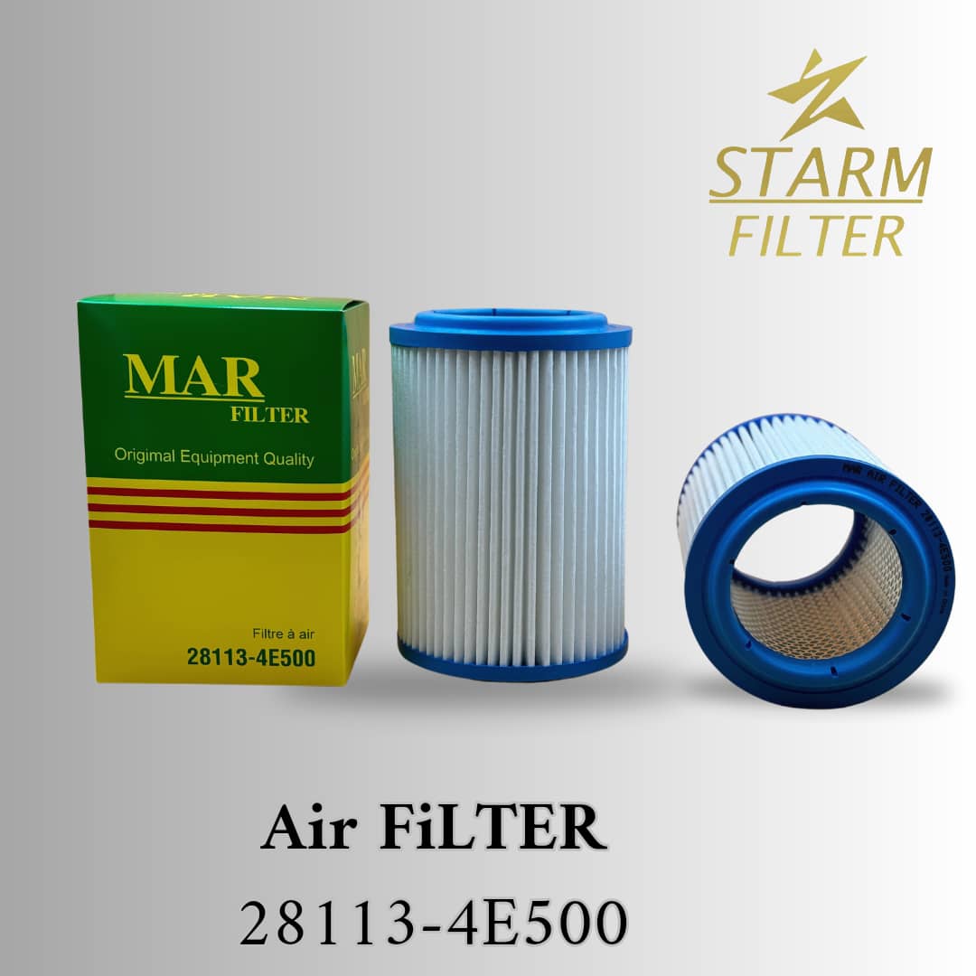 Air Filters 28113-4E500