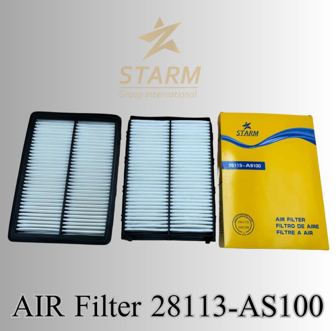 Air Filter 28113-AS100