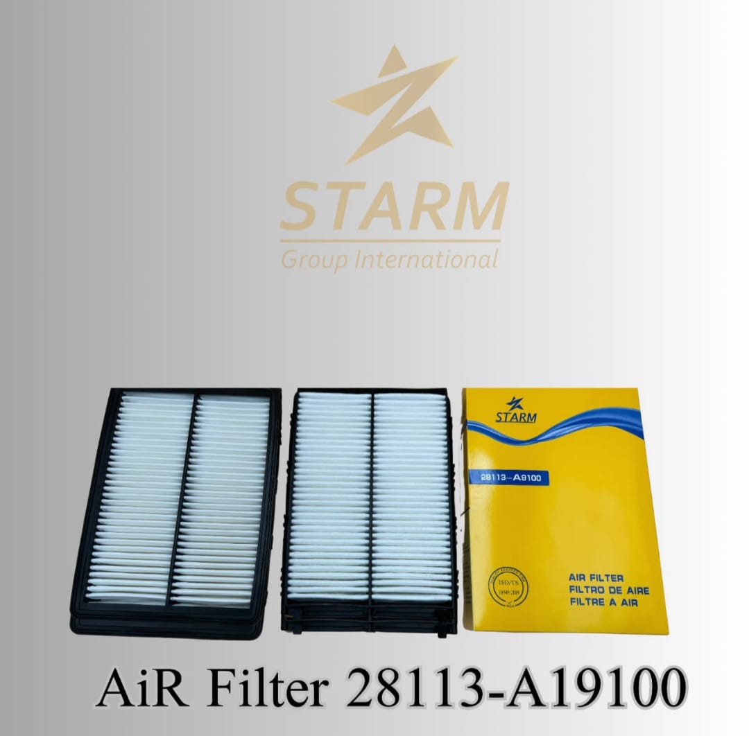 Air Filter 28113-A19100