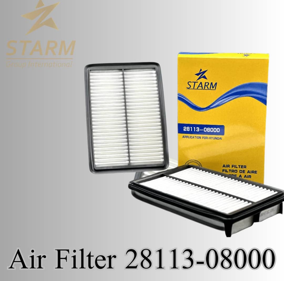 Air Filter 28113-08000