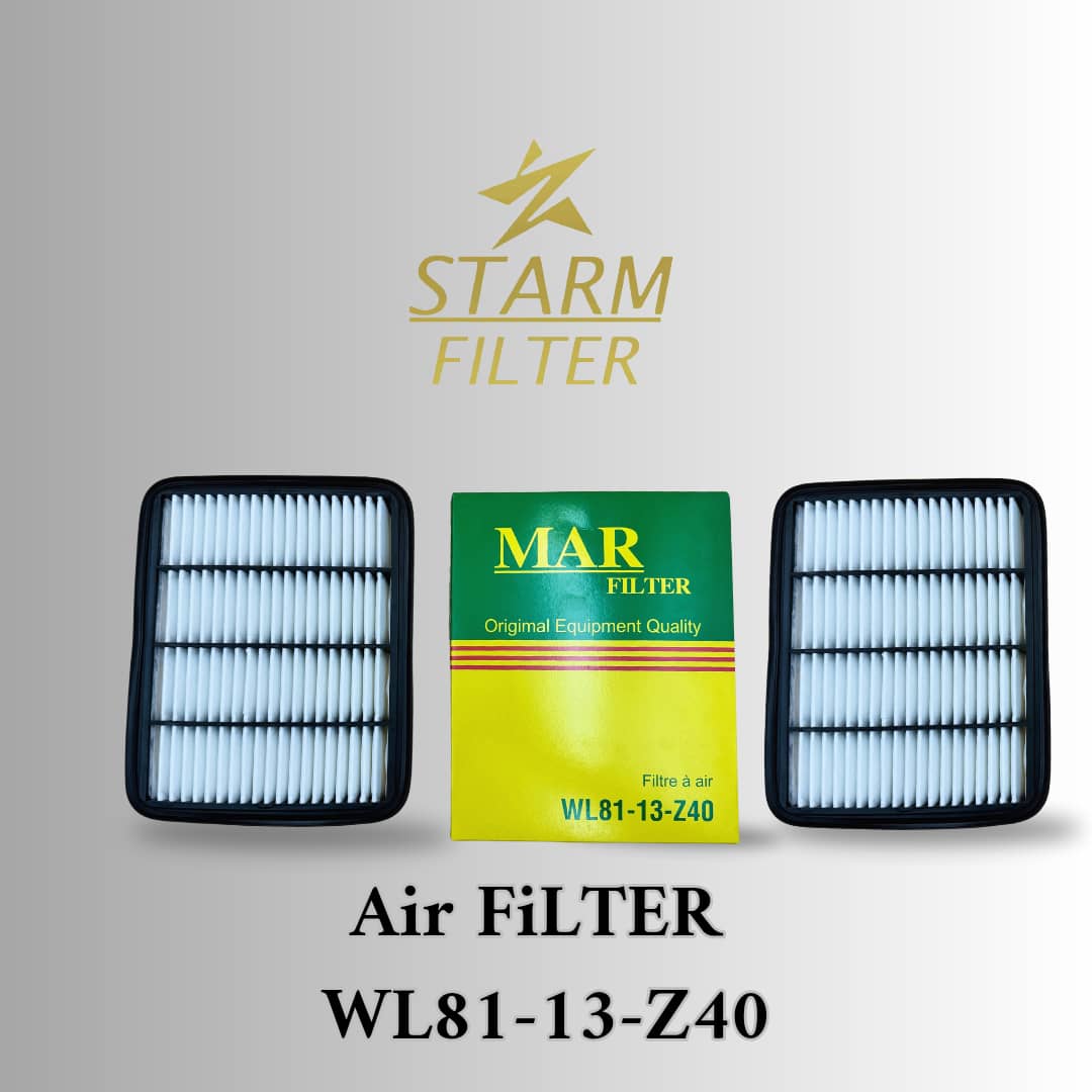 Air Filter wl81-13-z40